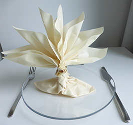 pliage de serviettes de table en papier, pliage de papier, origami,  deocration de table, plier du papier, decor de table, origami, serviettes  en papier